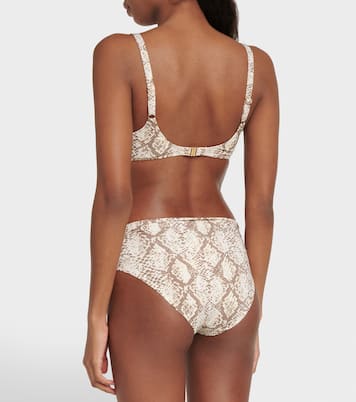 Bel Air snake-print bikini bottoms | Melissa Odabash