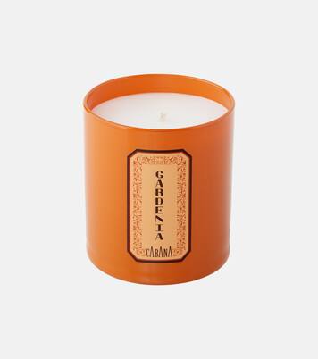 Gardenia Cabana scented candle | Cabana