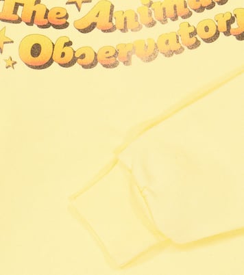 Sudadera Bear en jersey de algodón | The Animals Observatory