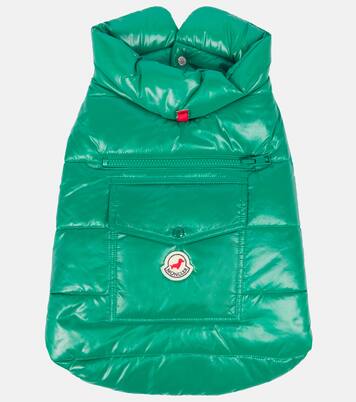 Chaleco acolchado para perro Moncler Poldo Dog Couture | Moncler