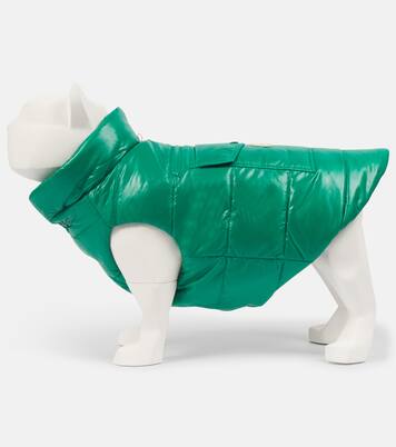 Chaleco acolchado para perro Moncler Poldo Dog Couture | Moncler