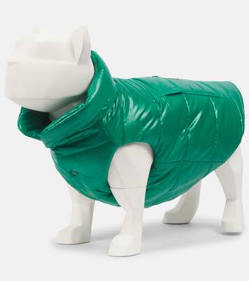 Chaleco acolchado para perro Moncler Poldo Dog Couture | Moncler