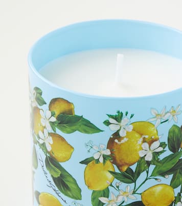 Duftkerze Lemon | Dolce&Gabbana Casa