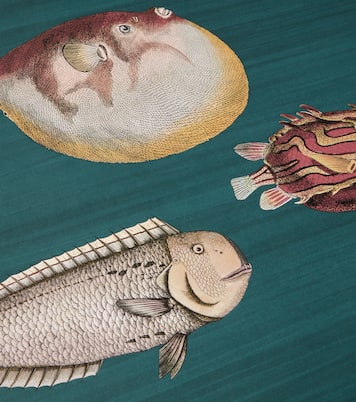 x Cole & Son – Papier peint Acquario | Fornasetti