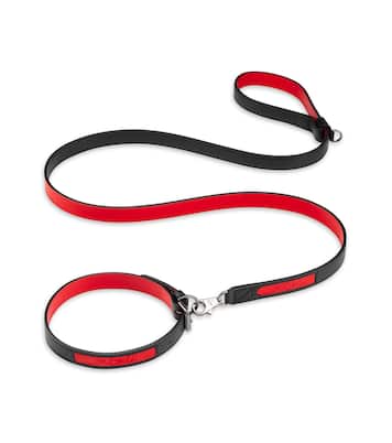 Loubicollar M leather dog collar | Christian Louboutin
