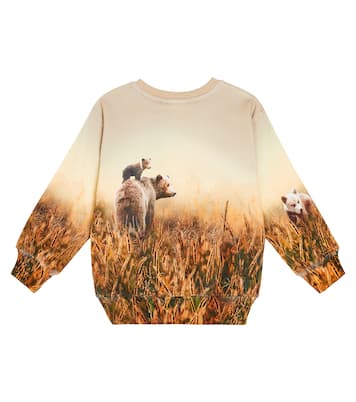 Sweatshirt Mattis aus Baumwolle | Molo