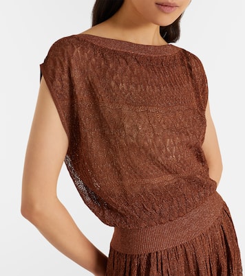 Awaken lamé lace top | Zimmermann