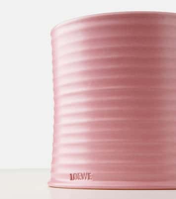 Bougie parfumée Ivy Large | Loewe Home Scents