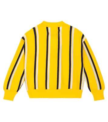 Racoon striped cardigan | The Animals Observatory