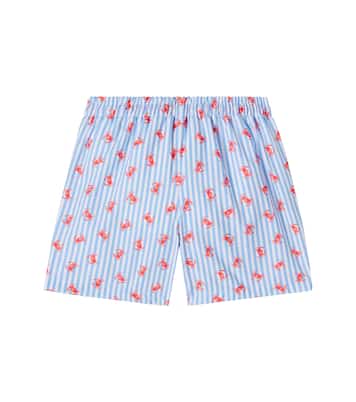 Bravo printed striped swim trunks | La Coqueta