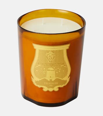Altaïr Grande scented candle  | Trudon