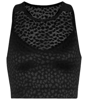Crop top de nylon elástico | Adam Selman Sport