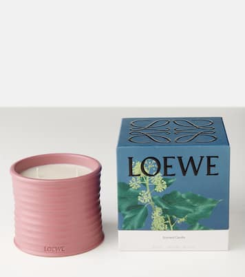 Vela Ivy mediana | Loewe Home Scents