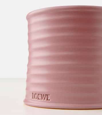 Vela Ivy mediana | Loewe Home Scents