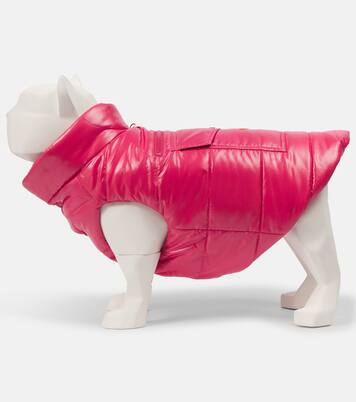Chaleco acolchado para perro Moncler Poldo Dog Couture | Moncler