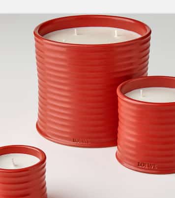 Tomato Leaves Small scented candle | Loewe Home Scents