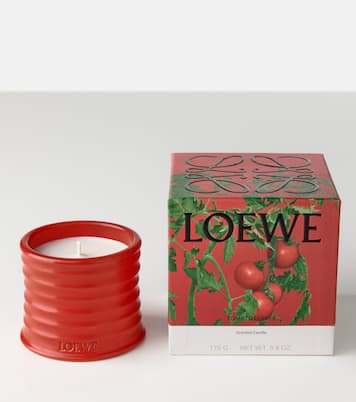Tomato Leaves Small scented candle | Loewe Home Scents