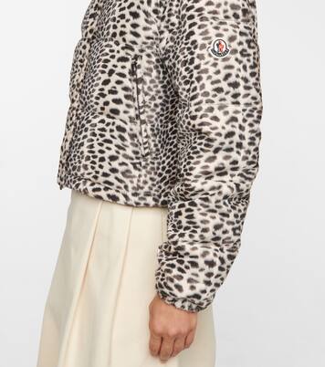 Chaqueta de plumas Avoine estampada | Moncler