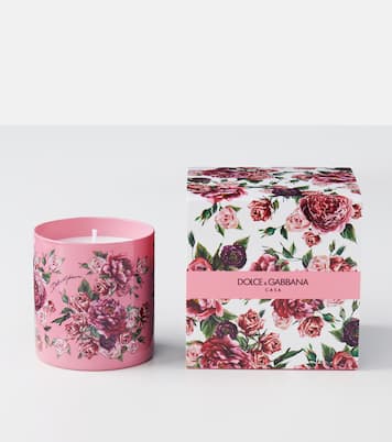 Duftkerze Rosa Moschata | Dolce&Gabbana Casa