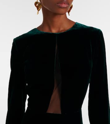 Vestido largo Baia de terciopelo | Max Mara