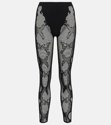 Cobra fishnet leggings | Dion Lee