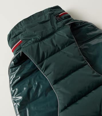 Manteau pour chien Moncler Poldo Dog Couture | Moncler