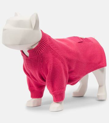 Jersey para perro Moncler Poldo Dog Couture | Moncler