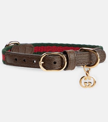 Web Stripe XS faux leather dog collar | Gucci