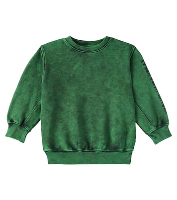 Felpa Magni in jersey di cotone | Molo