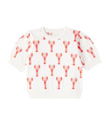 Oia intarsia cotton top | The New Society