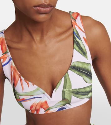 Kamala printed bikini top | Alexandra Miro
