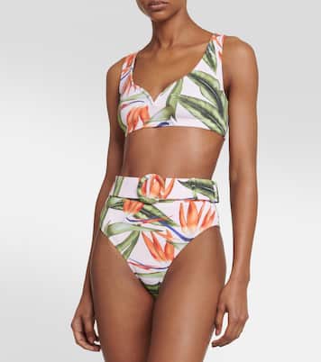 Ursula bikini bottoms | Alexandra Miro