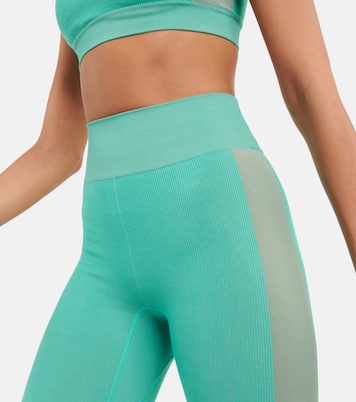 Leggings sin costuras | The Upside