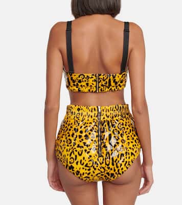 Bralette in similpelle con stampa leopardata | Dolce&Gabbana