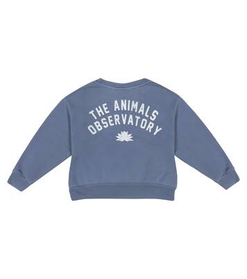 Bear cotton jersey sweatshirt | The Animals Observatory