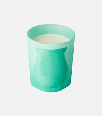 Under The Trees scented candle by Alexandra Carlin | Trudon
