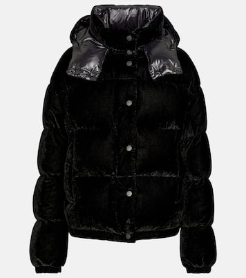 Daunenjacke Daos aus Samt | Moncler