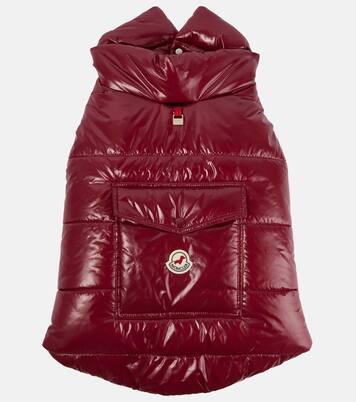 Manteau pour chien Moncler Poldo Dog Couture | Moncler