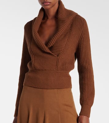 Wool and cashmere sweater | Max Mara