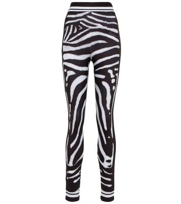 Zebra-print high-rise leggings | Dolce&Gabbana