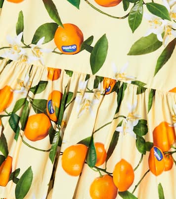 Abito Casta in cotone con stampa floreale | Molo