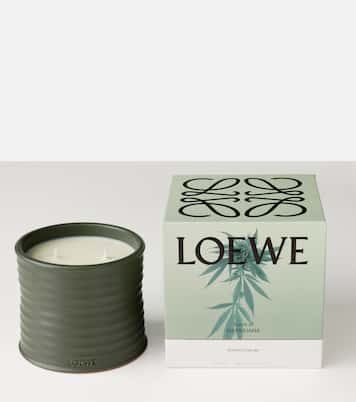 Marihuana Medium scented candle | Loewe Home Scents