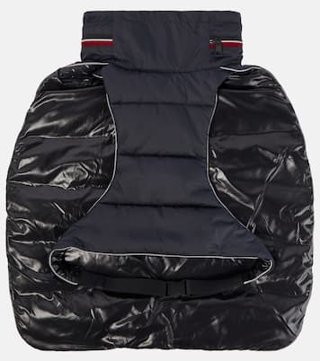 Manteau pour chien Moncler Poldo Dog Couture | Moncler