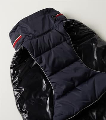 Moncler Poldo Dog Couture Mantel für Hunde | Moncler