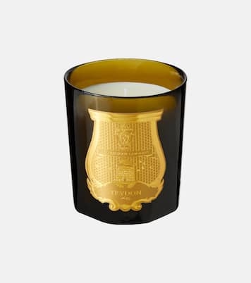 Madeleine Classic scented candle | Trudon