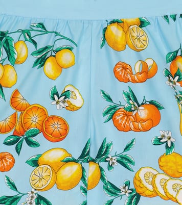 Shorts en popelín de algodón estampado | Dolce&Gabbana Kids