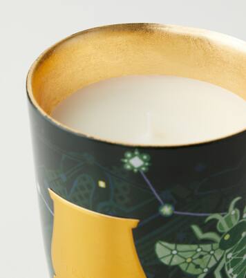 Fir Classic scented candle  | Trudon