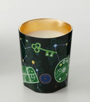 Fir Classic scented candle  | Trudon