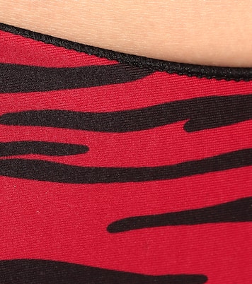 Curve zebra-print bikini bottoms | Tropic of C