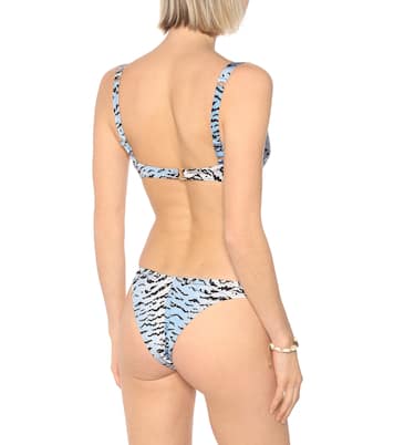 Slip bikini Selvaggia a stampa zebra | Reina Olga